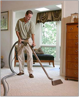 Northport,  NY Carpet Cleaning